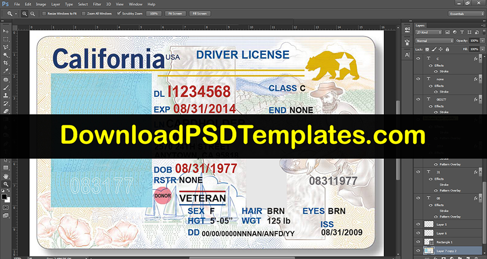 california drivers license template editable